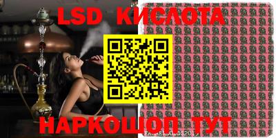 PSILOCYBIN Сланцы