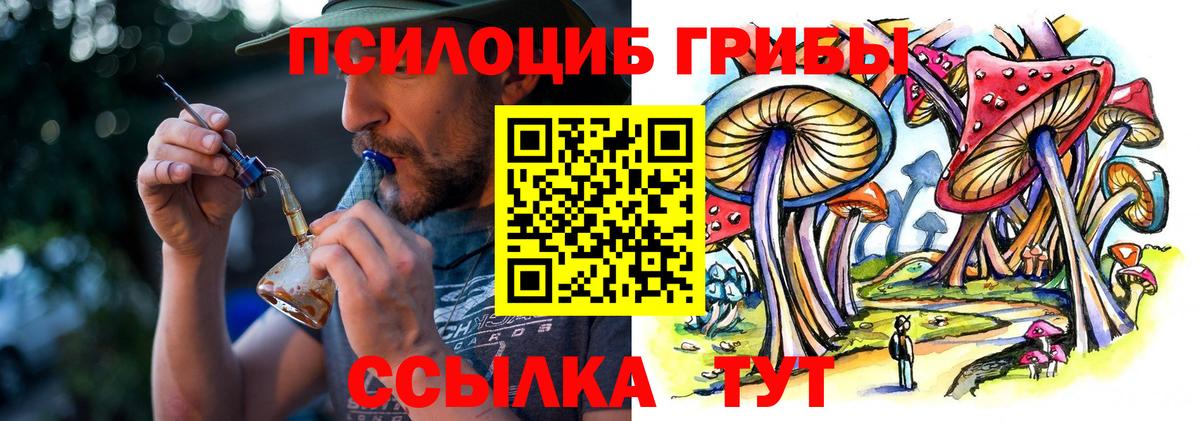 Псилоцибиновые грибы GOLDEN TEACHER Белорецк